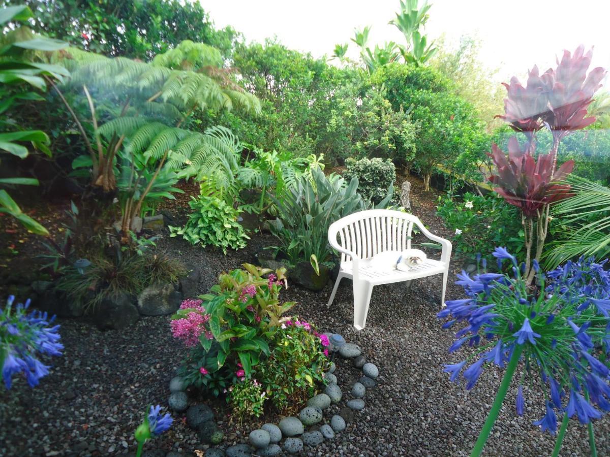 Guest House In Hilo Kültér fotó